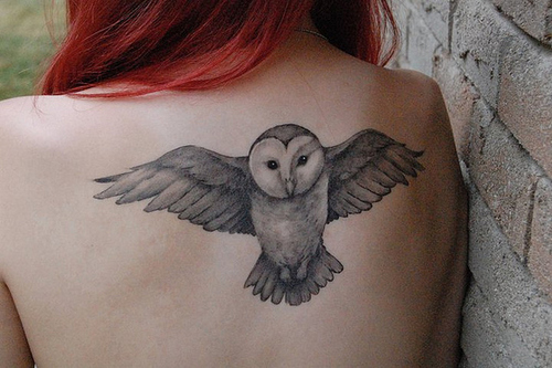 Hogwarts Owl Tattoo Design By Thefoxfeatherz  Drawing  Free Transparent  PNG Clipart Images Download