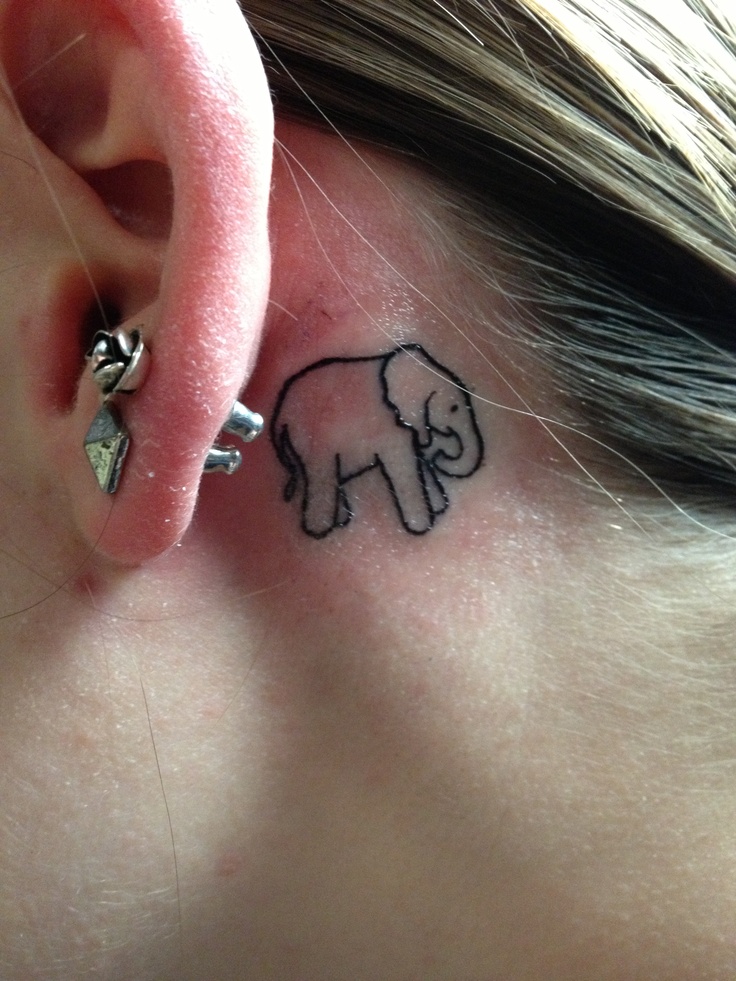 small elephant behind ear - FMag.com