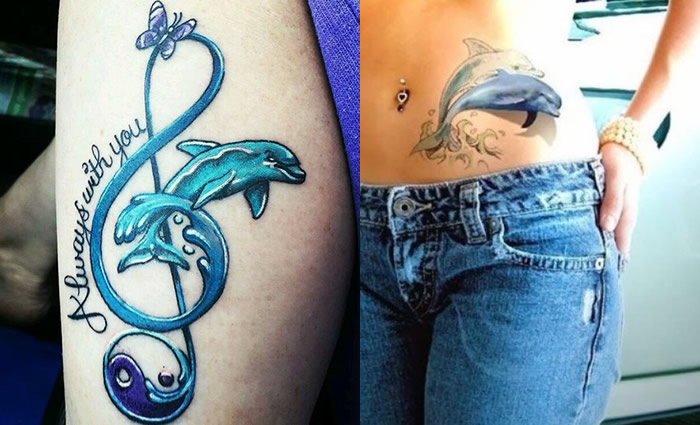 15 Best Dolphin Tattoos Designs with Meanings 